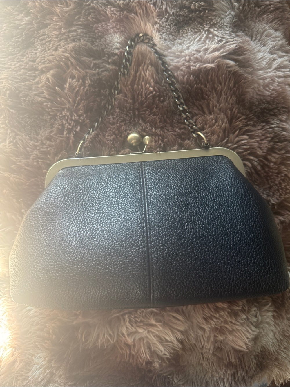 Vintage-Inspired Black Frame Clasp Shoulder Bag